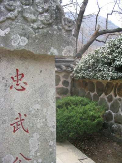 lichen.JPG