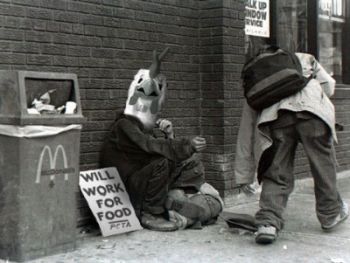 willworkforfoodchicken.jpg